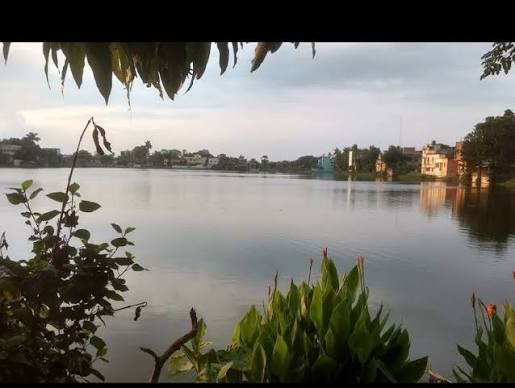 Sultan Phokhar, Forbesganj
